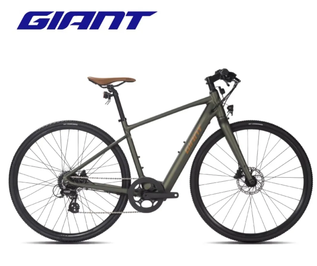 Giant fastroad-e