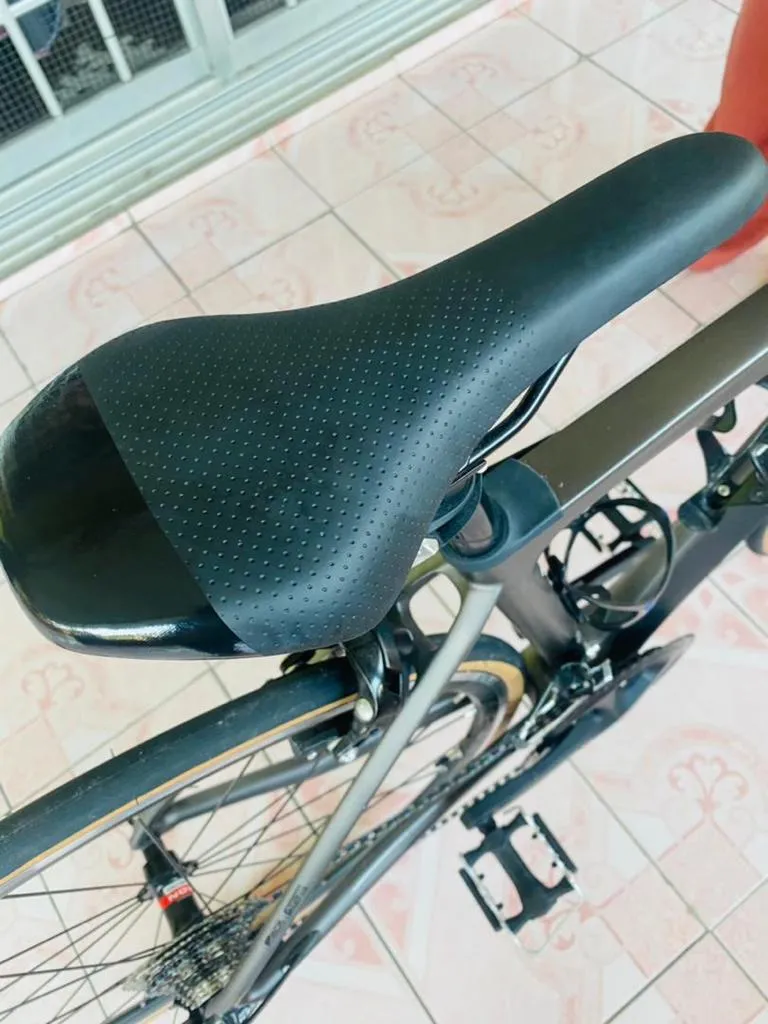 alcott ascari lite