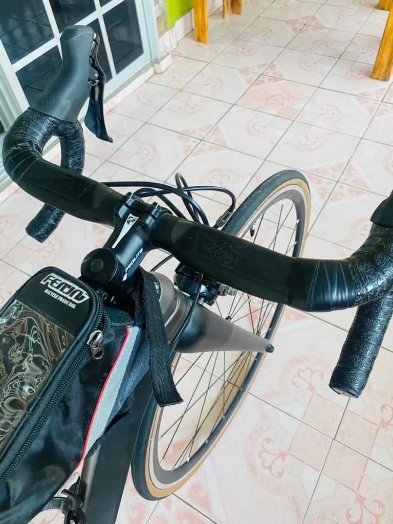 alcott ascari lite