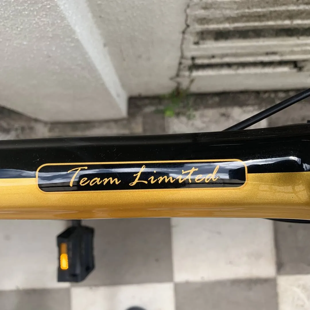 Gusto Duro Team Limited 2020