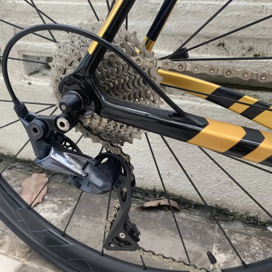 Gusto Duro Team Limited 2020