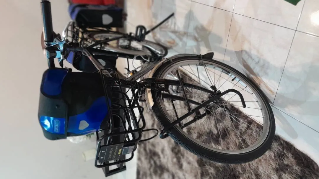 Touring bike Bridgestone wildwest