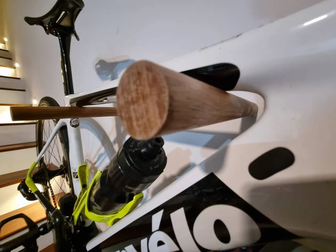 MINIMALIST BIKE DISPLAY WALL MOUNT