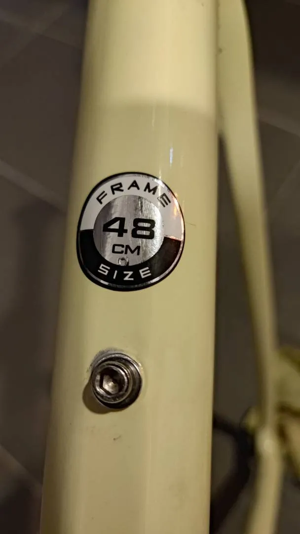 Alcott Ascari Team 2022 Carbon Frame size 48