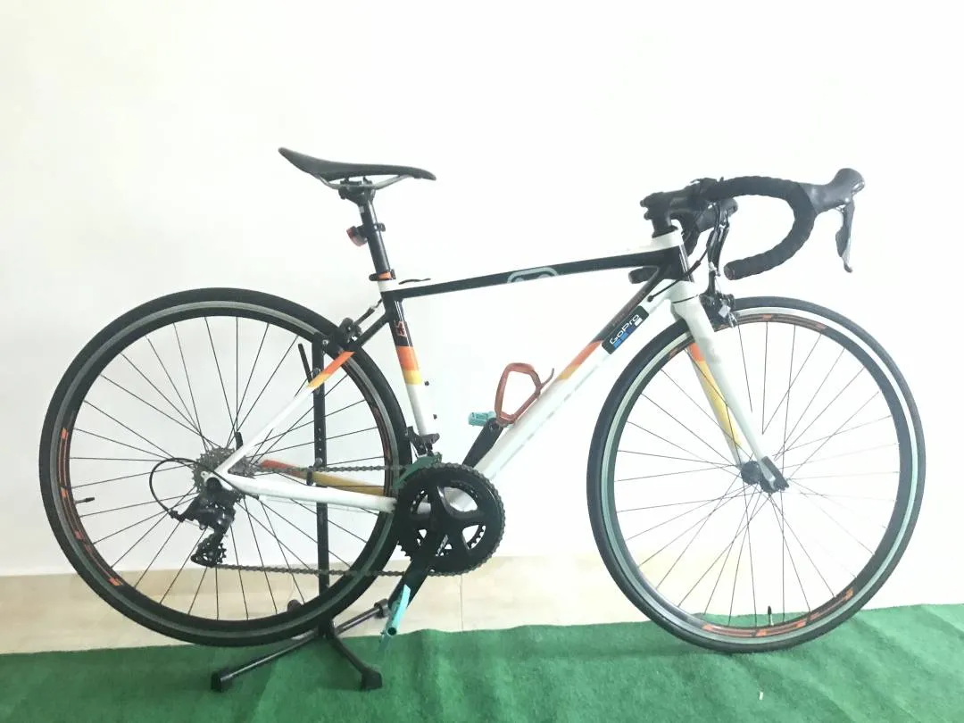2021 polygon s3 rb