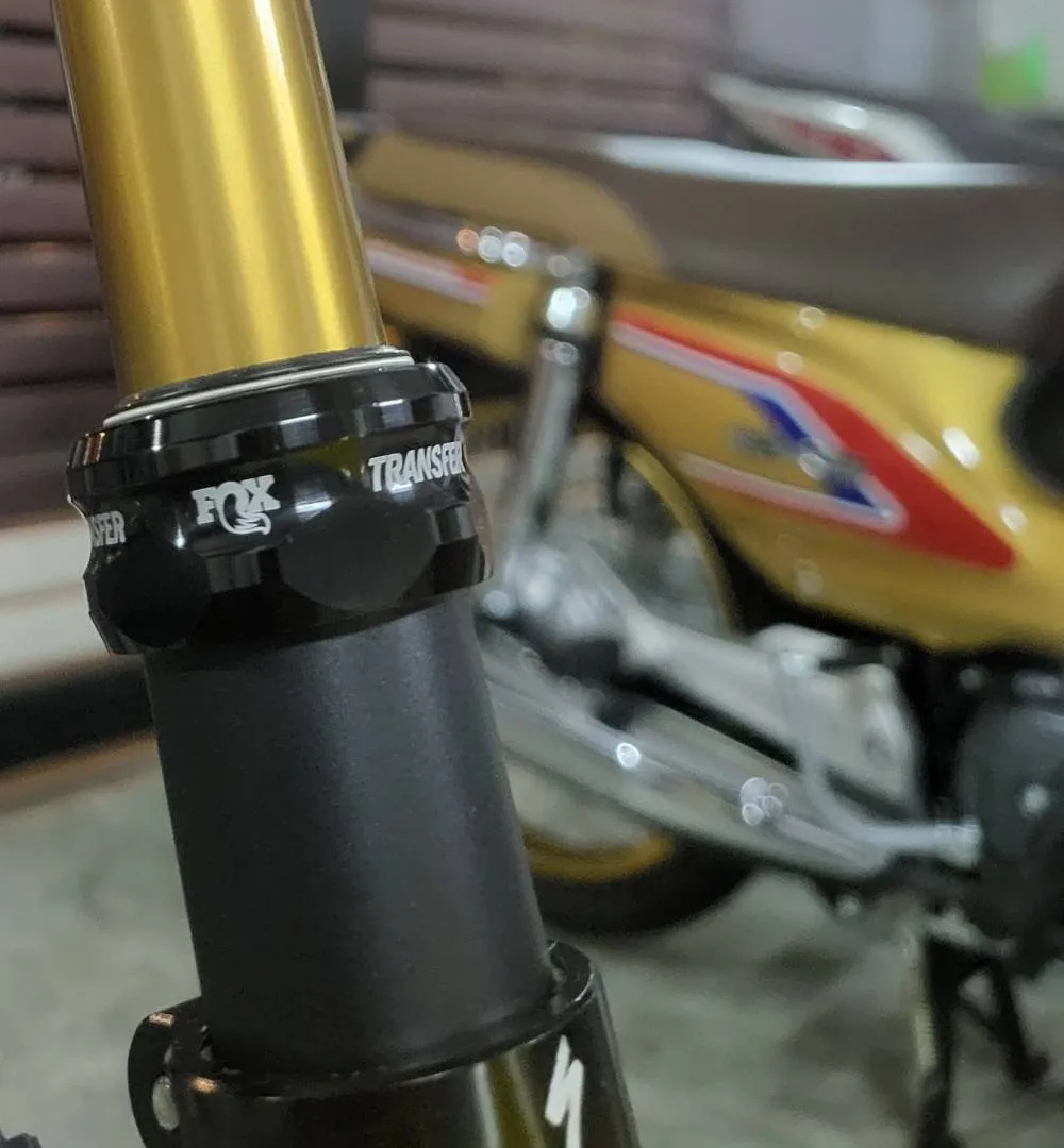Specialized SWorks Custom Mountain Bike MTB
