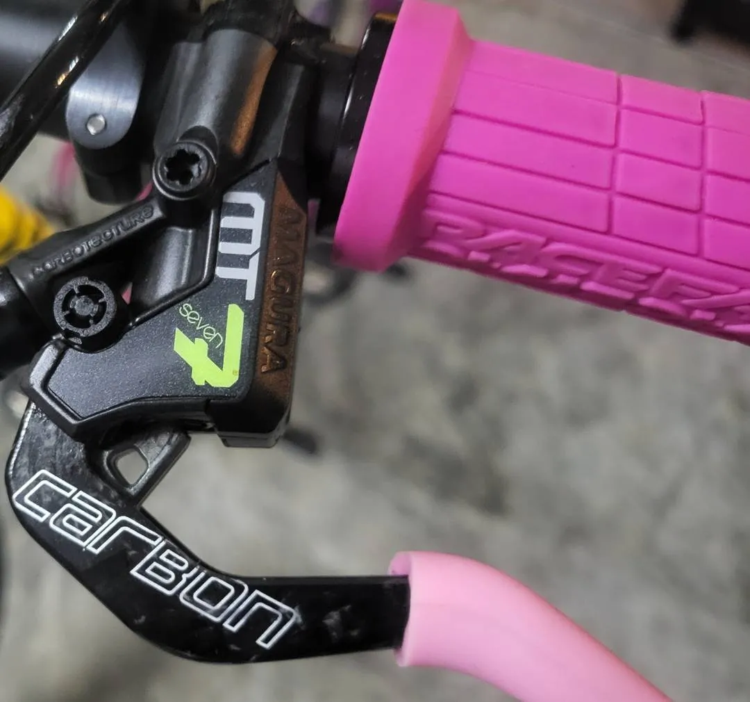 Specialized SWorks Custom Mountain Bike MTB