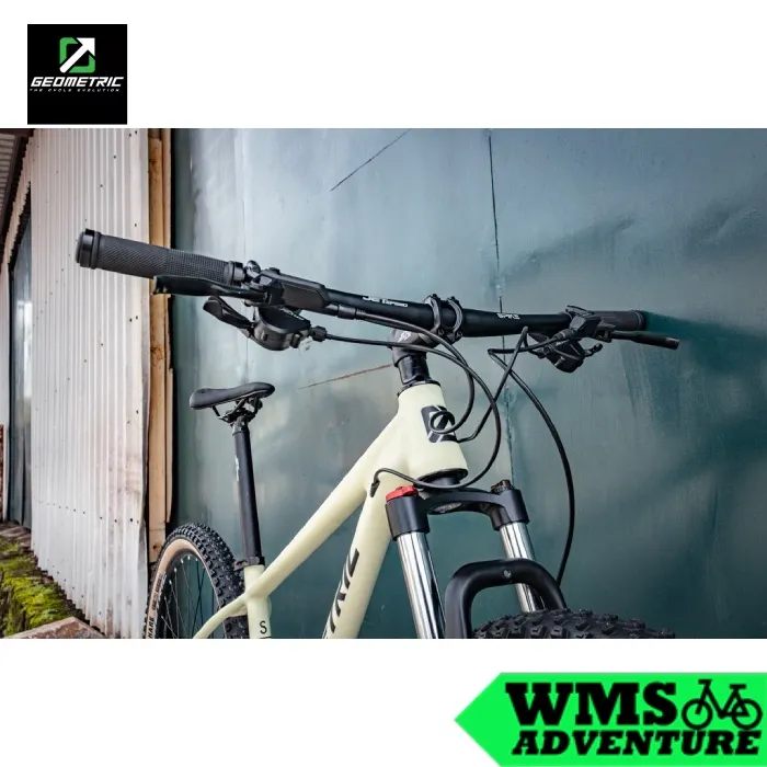 Geometric Caliber Mountain Bike 29" Alloy Frame Shimano 2 x 9 Speed