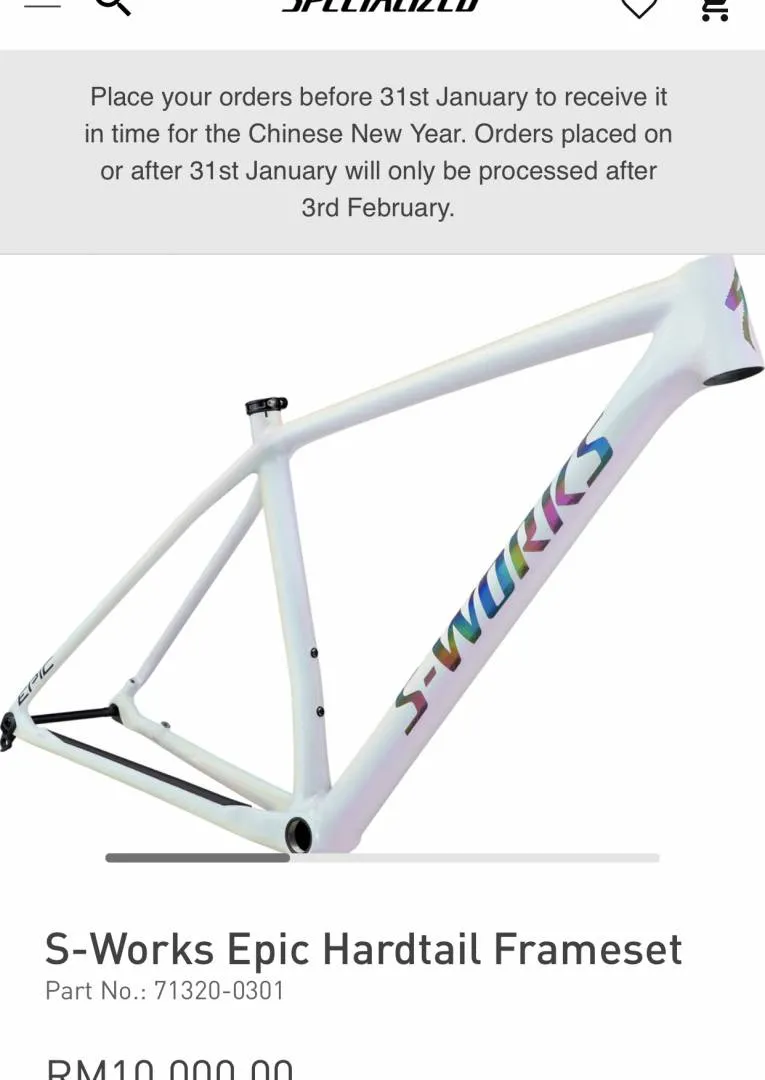 MTB S-Work (custom)