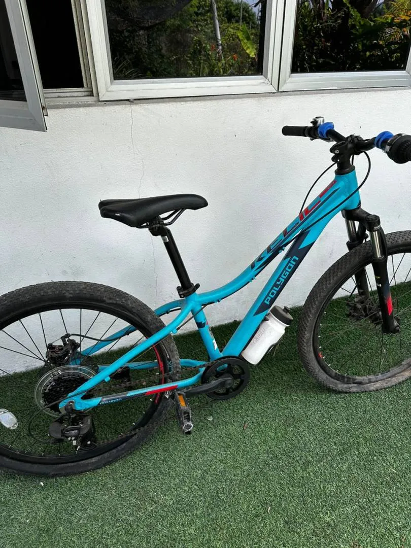 polygon kids bike polygon relic 24"