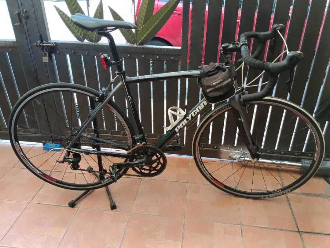 Polygon Roadbike