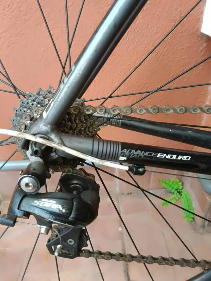 Polygon Roadbike