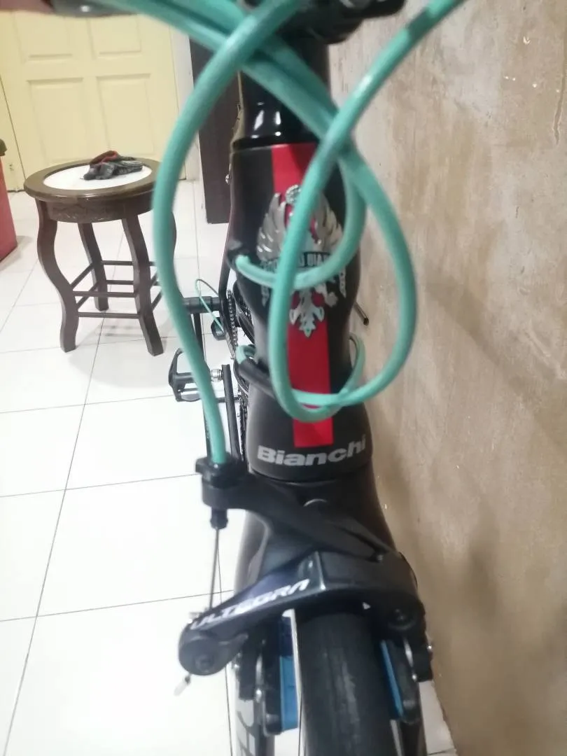 Bianchi oltre xr1 (authentic)