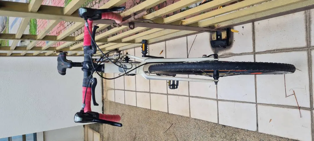 Giant Anyroad 1, 2014