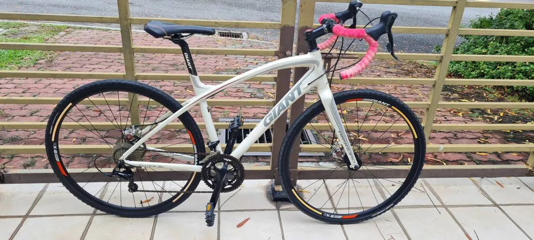 Giant Anyroad 1, 2014