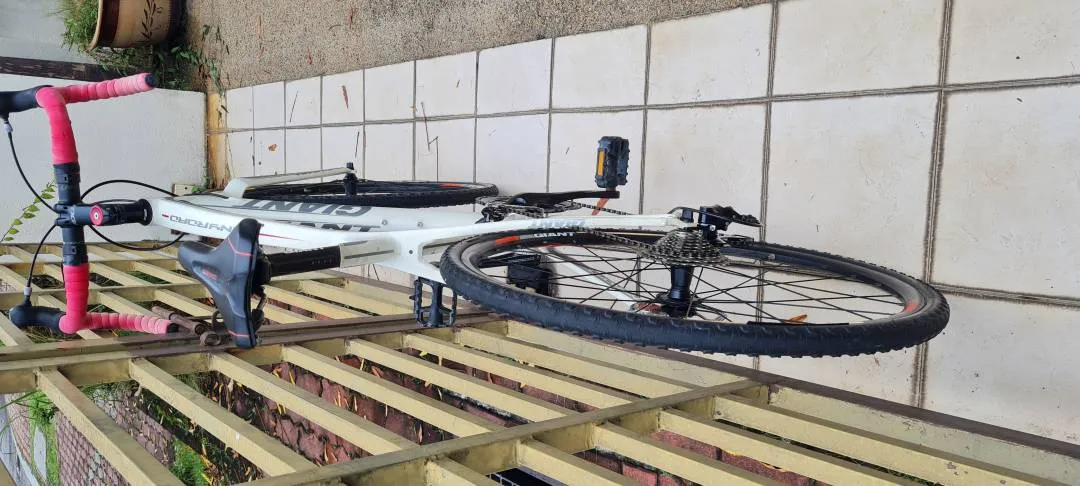 Giant Anyroad 1, 2014