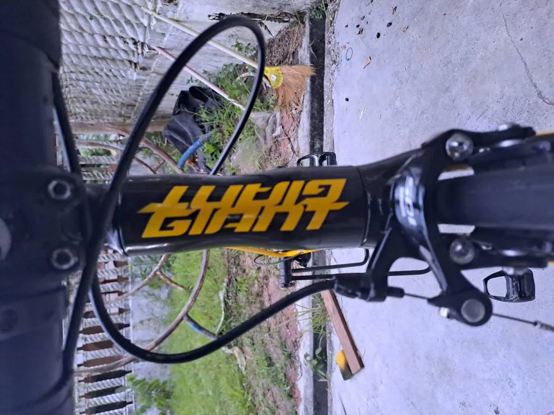 Road bike giant PROPEL SLR 2