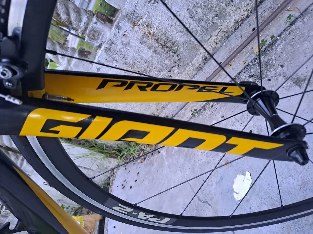 Road bike giant PROPEL SLR 2