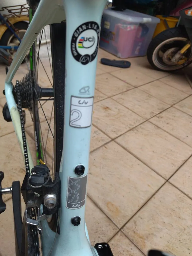 Giant liv advanced 2
