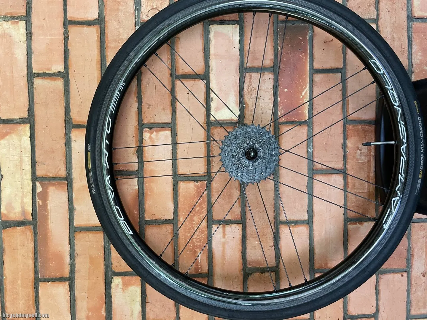 Campagnolo wto 33 rim brake, very low mileage, under warranty. Conti tires included