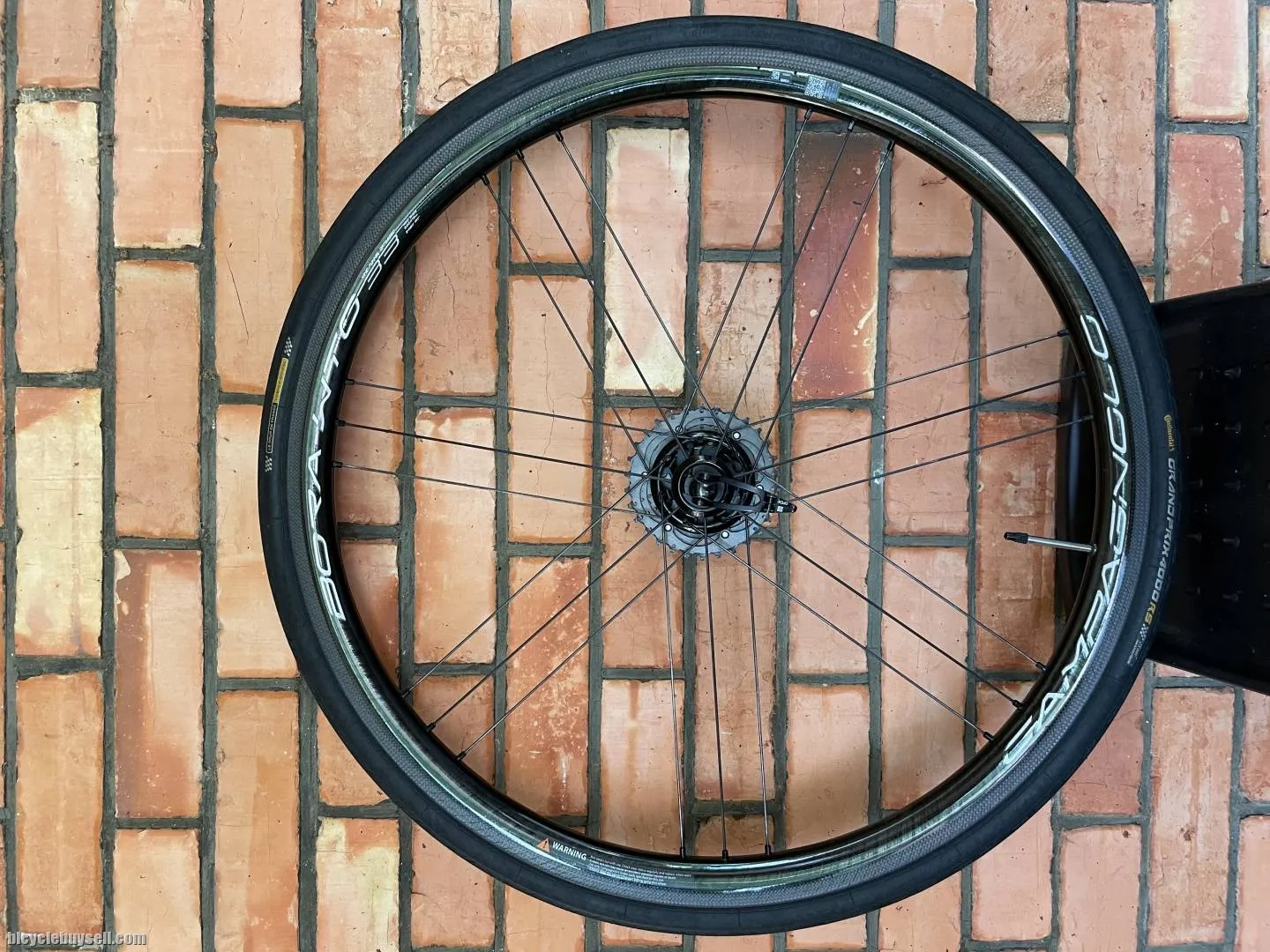Campagnolo wto 33 rim brake, very low mileage, under warranty. Conti tires included