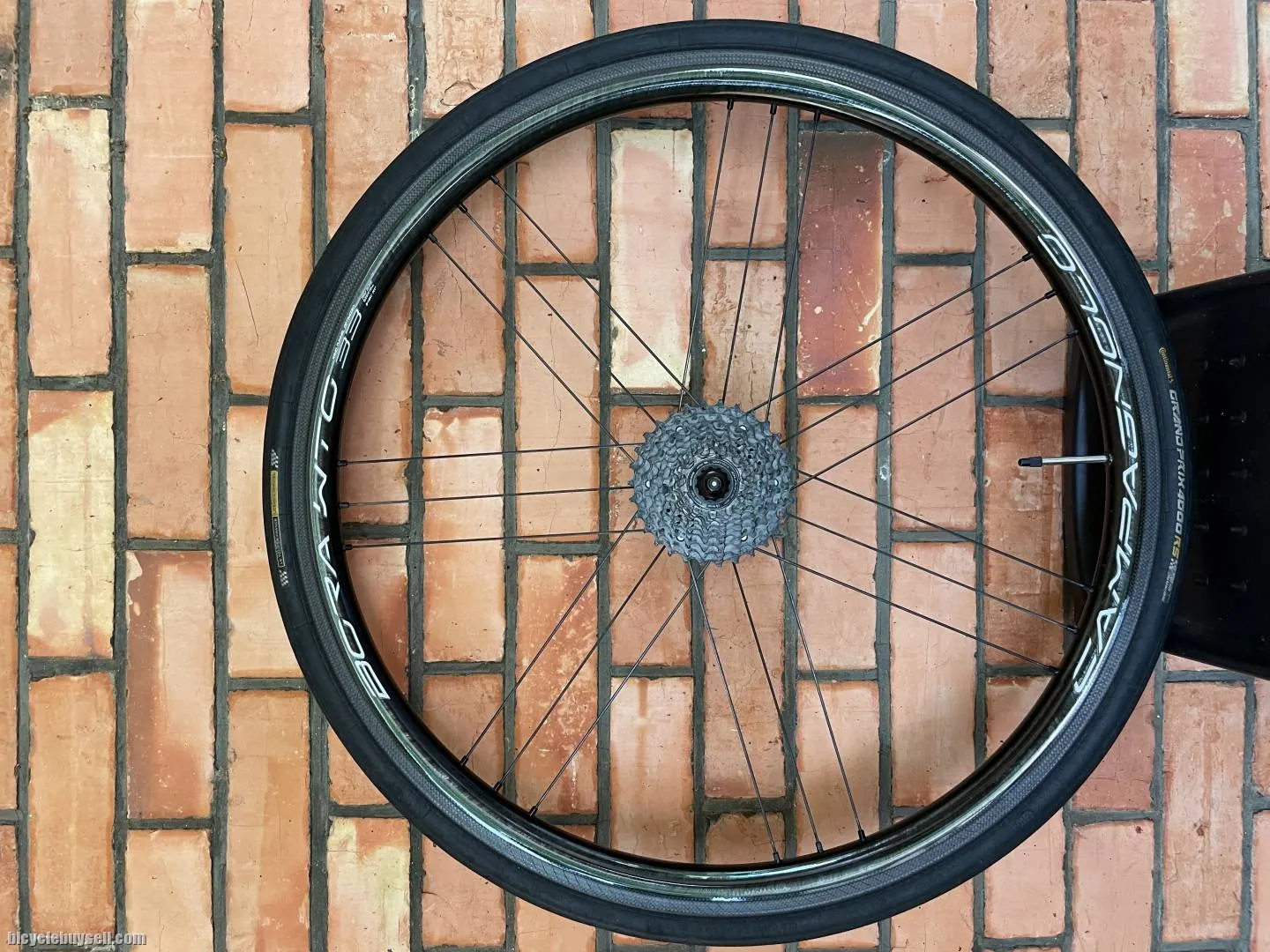Campagnolo wto 33 rim brake, very low mileage, under warranty. Conti tires included