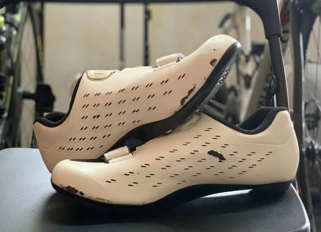 Shimano RP5 Shoes