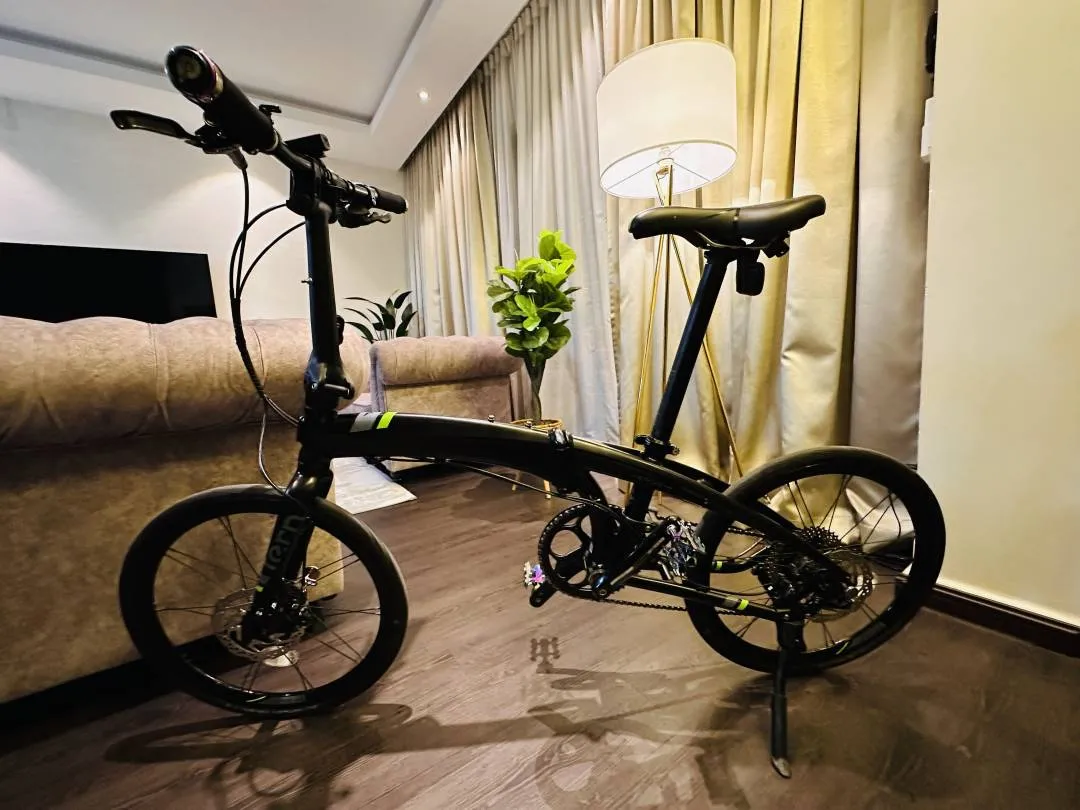 Tern Verge P10