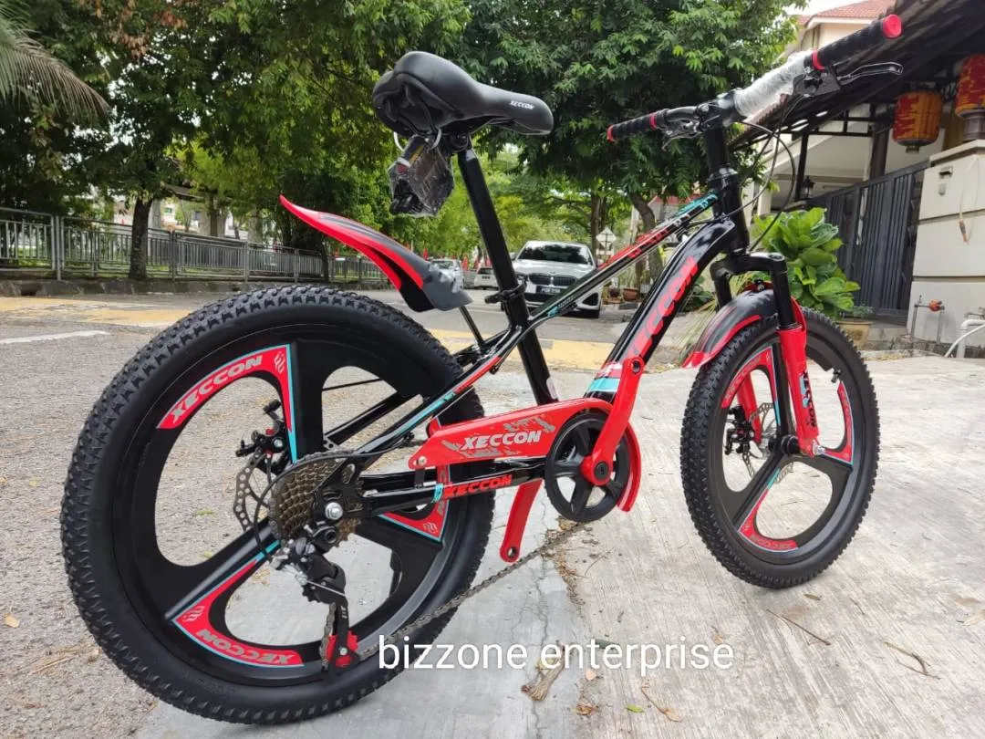 20" xeccon mtb bike with sport rim