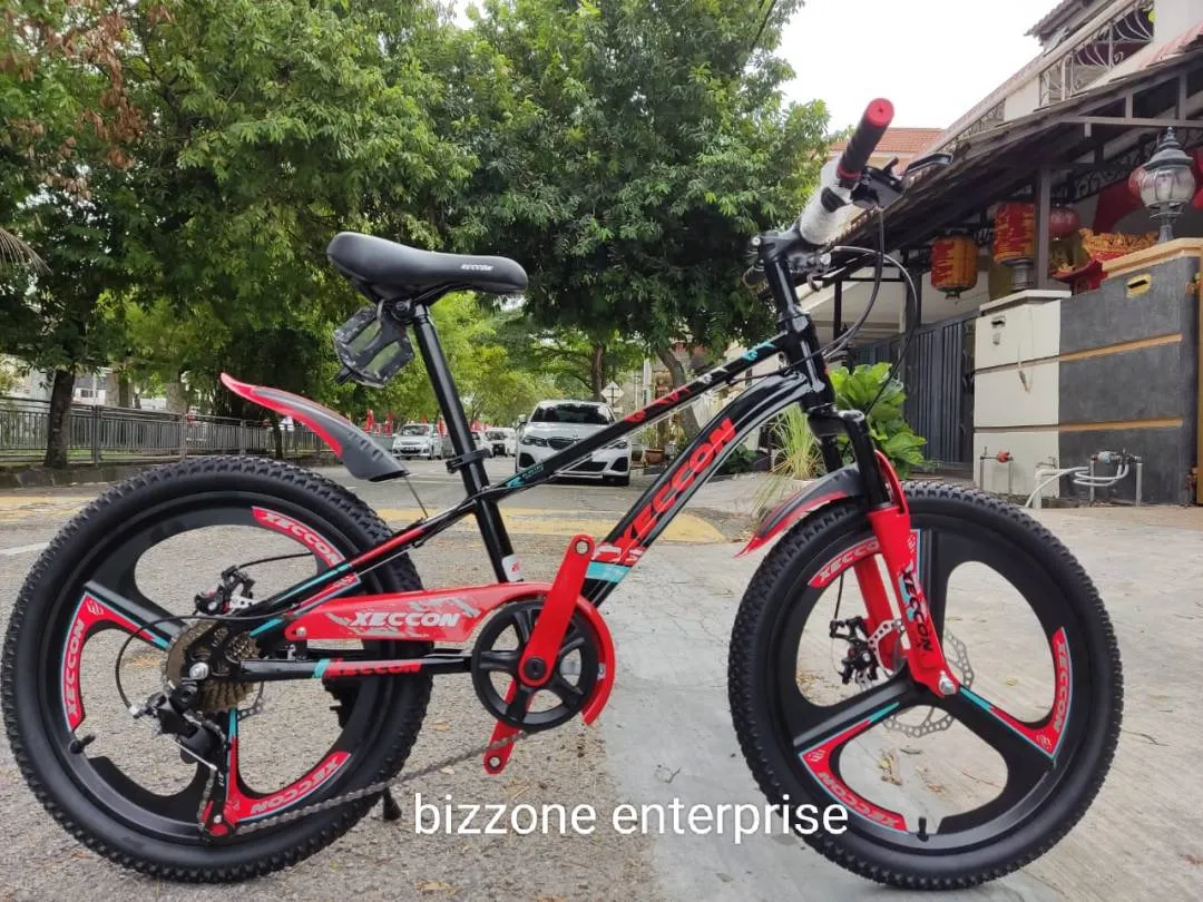 20" xeccon mtb bike with sport rim