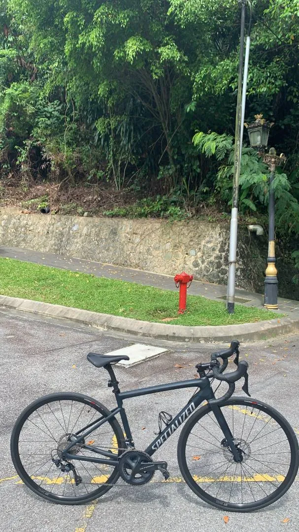 Specialized Tarmac SL6 Comp