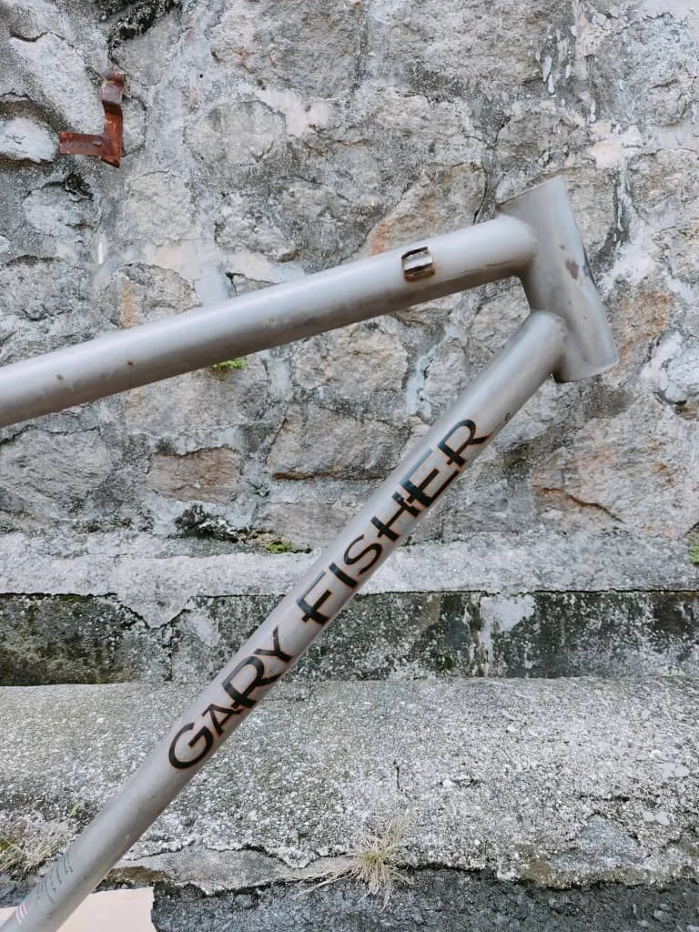 (SOLD) Gary Fisher Mamba 1997 Frame Only 26" (Made in USA) Retro Vintage MTB