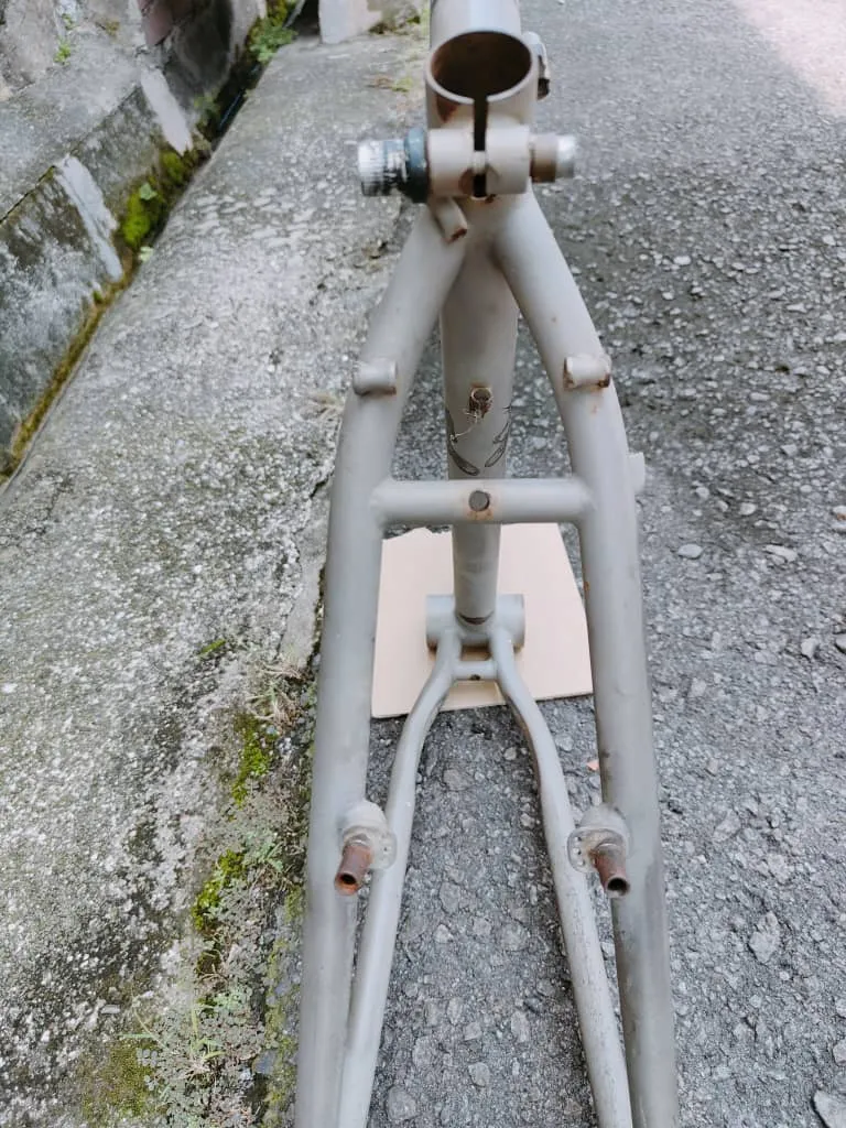(SOLD) Gary Fisher Mamba 1997 Frame Only 26" (Made in USA) Retro Vintage MTB