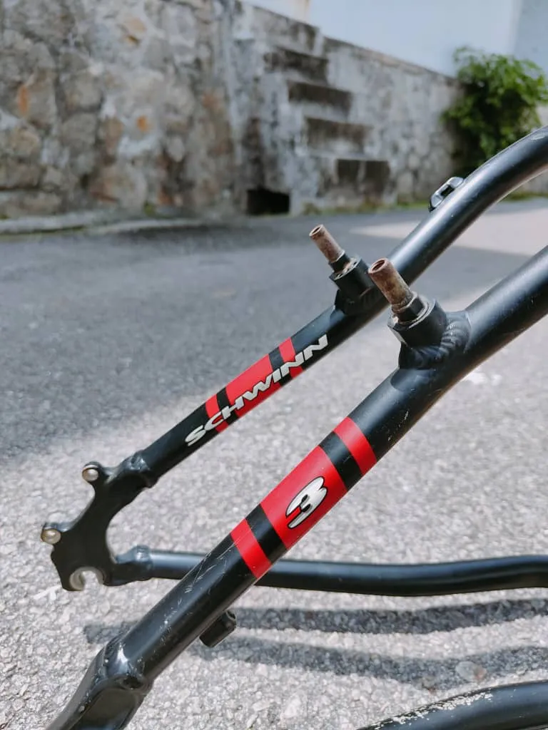 Schwinn Moab 3 2002 26" MTB Frame