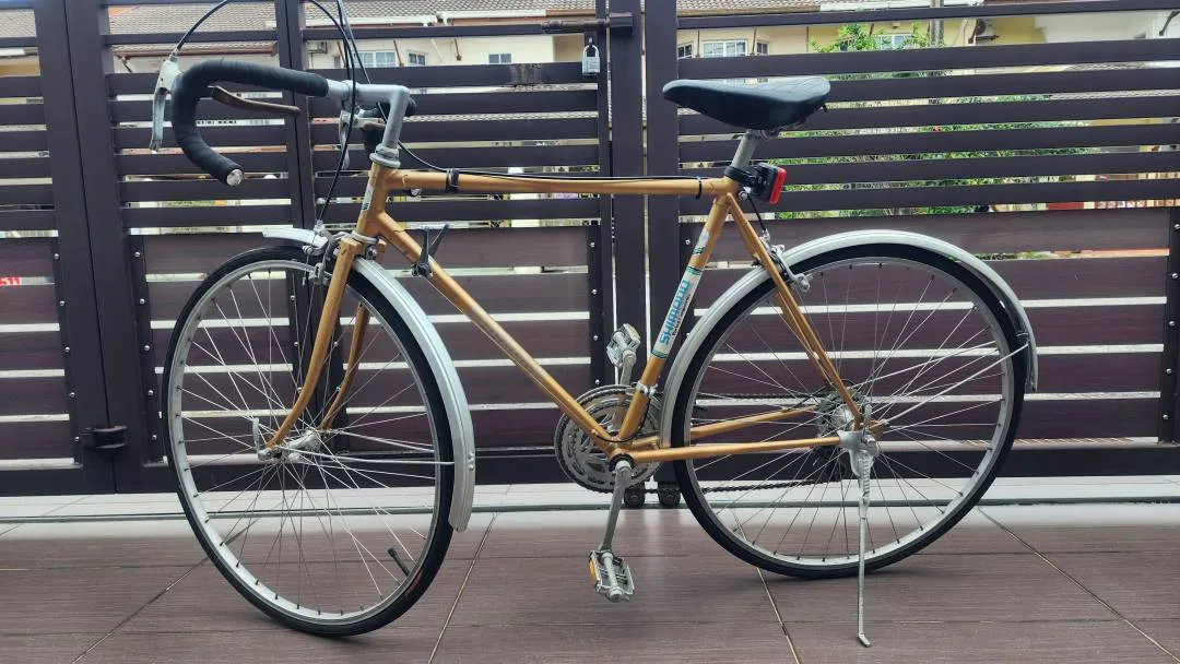 Vintage 12 Speed Shimano