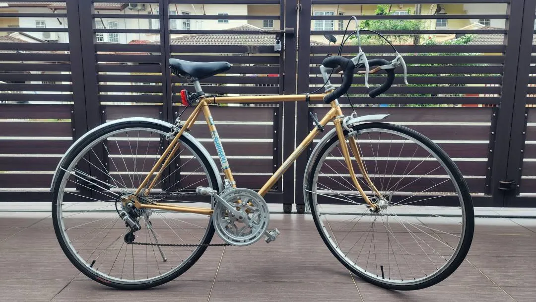 Vintage 12 Speed Shimano