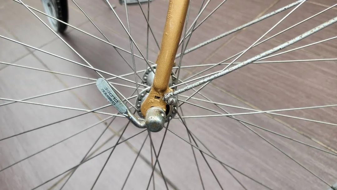 Vintage 12 Speed Shimano
