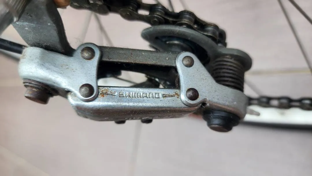 Vintage 12 Speed Shimano