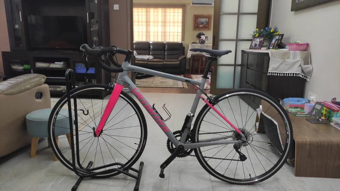 2018 Specialized Allez Elite