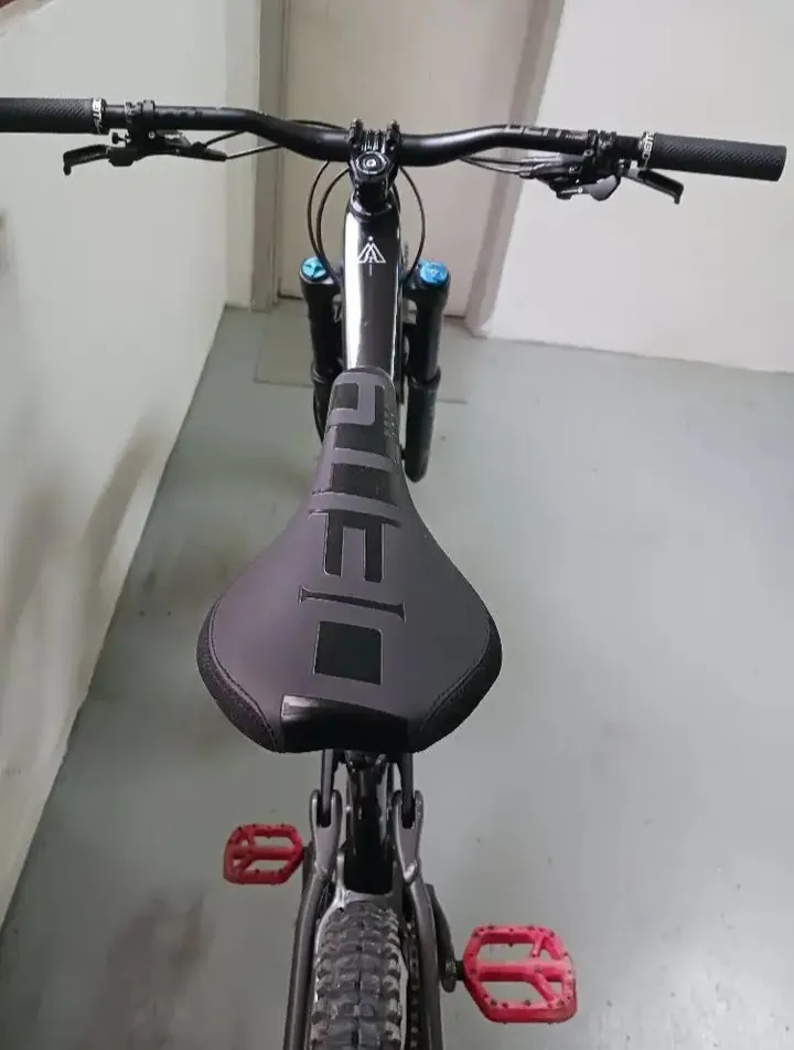 Marin Alpine Trail Corbon2