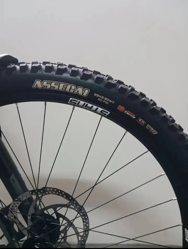 Marin Alpine Trail Corbon2