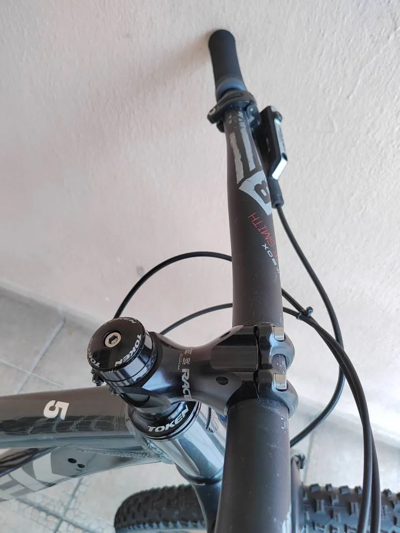 Trek Mountain Bike (29")