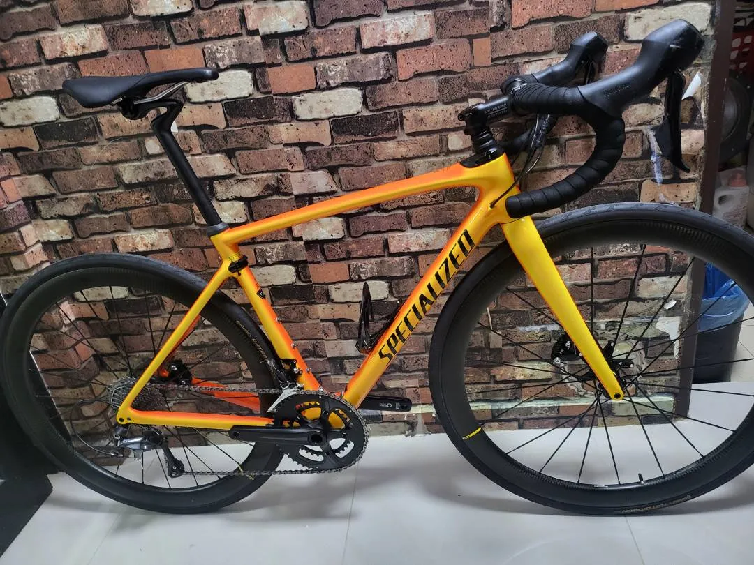 specialized roubaix