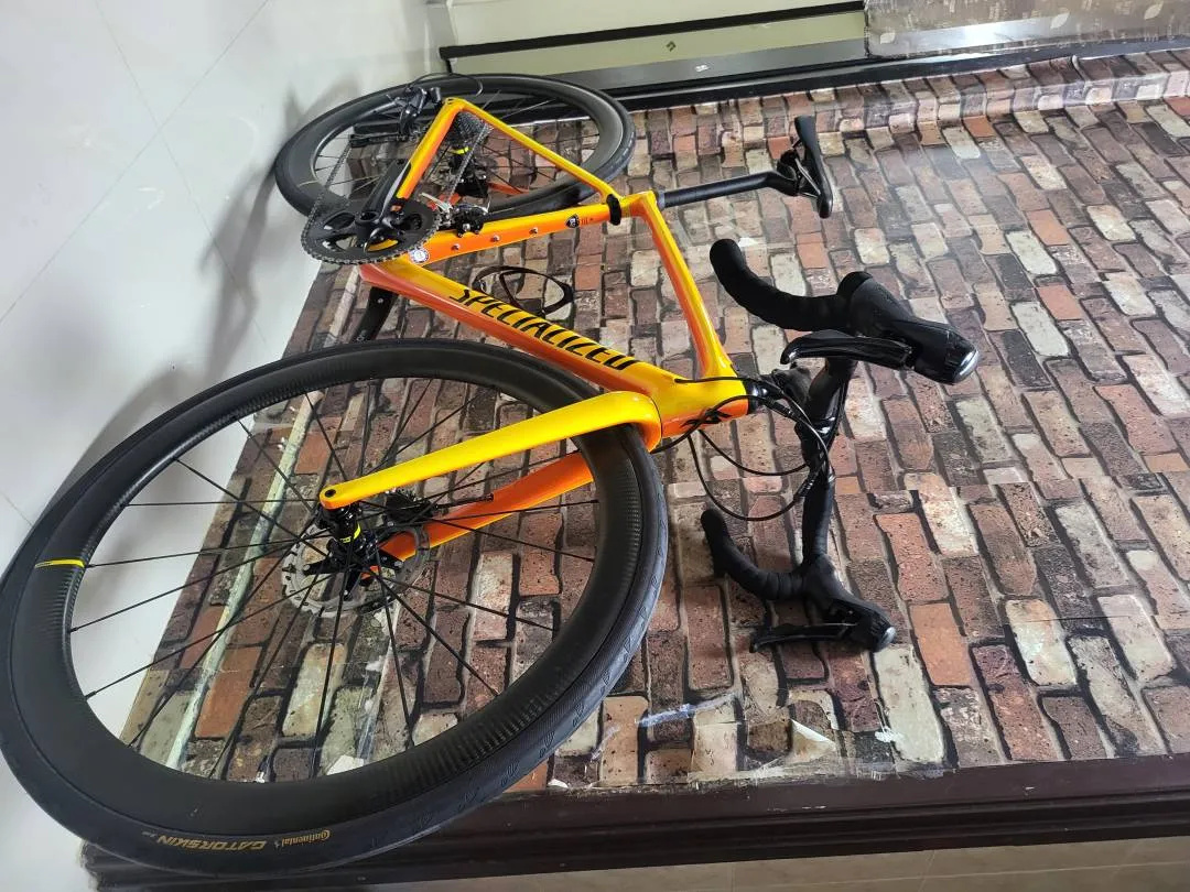 specialized roubaix