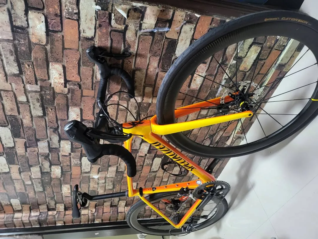specialized roubaix