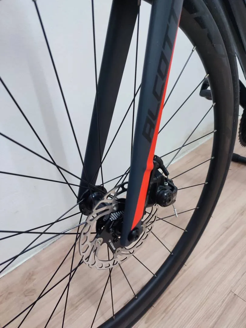 Alcott Rossa Advance