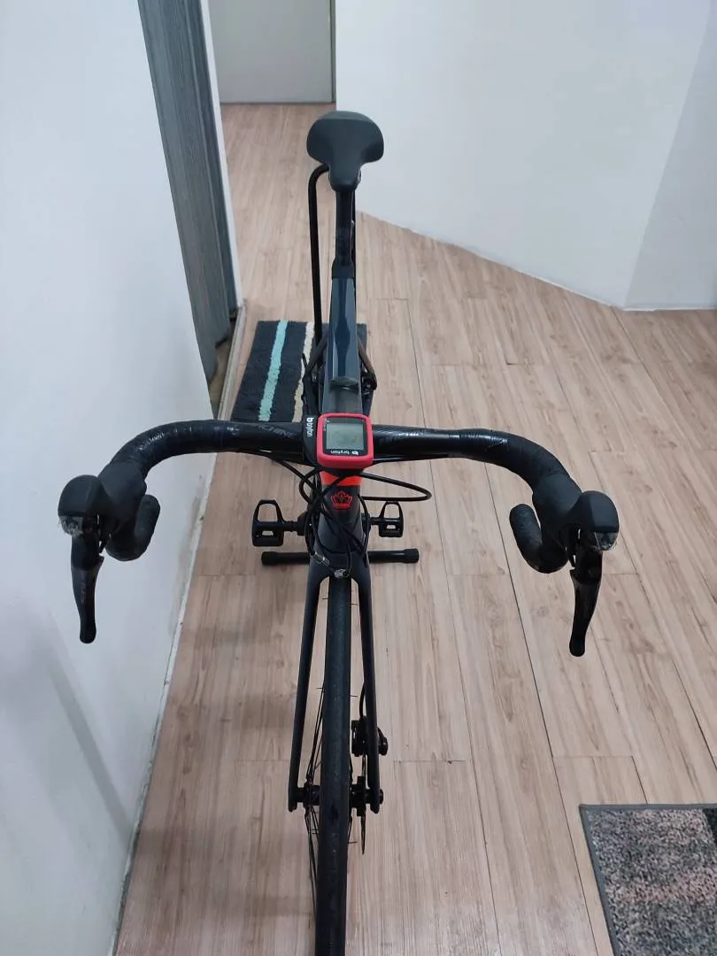 Alcott Rossa Advance