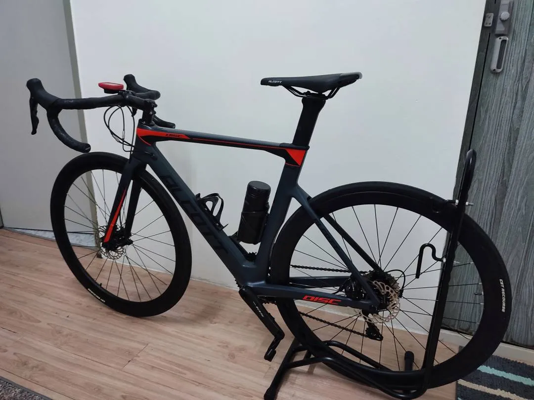 Alcott Rossa Advance