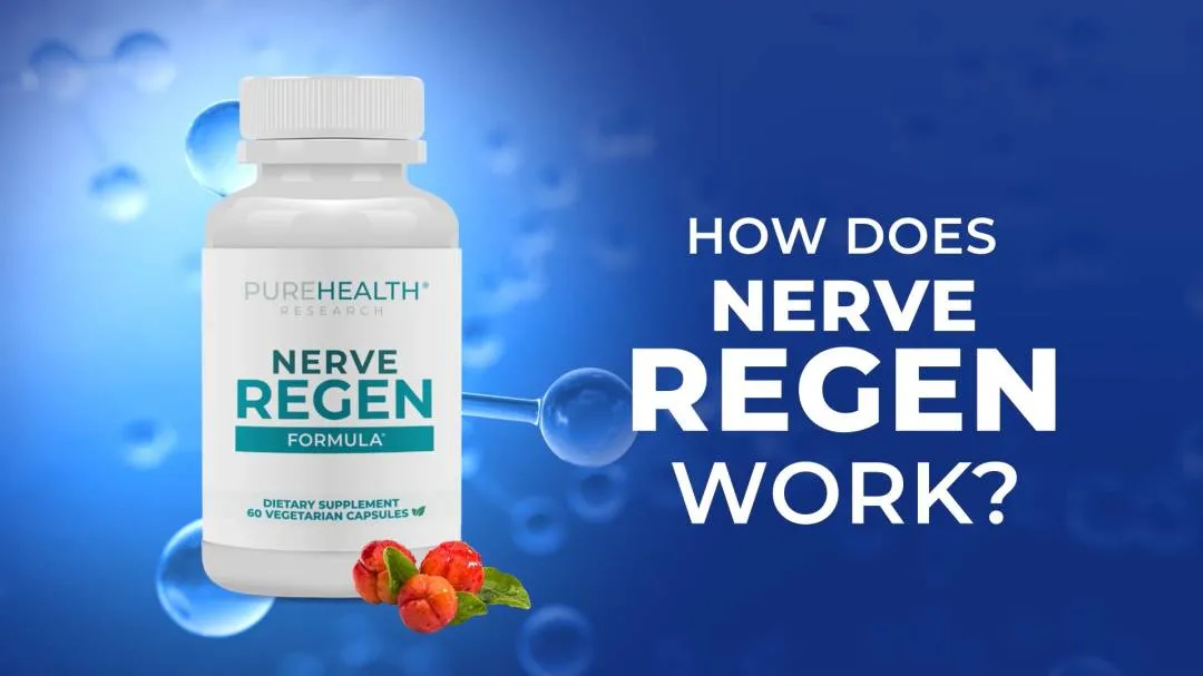 How Does Nerve Regen Formula Work?