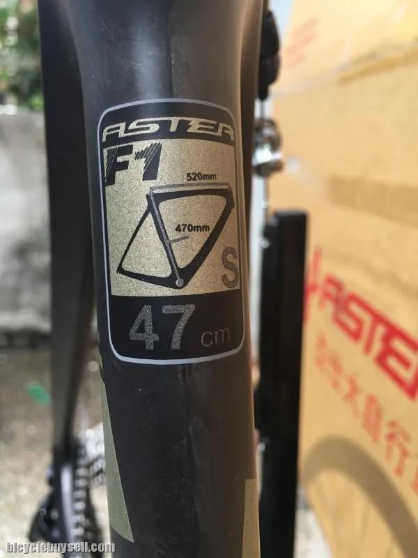 ASTER F1 Aero Carbon bike with Fullset Shimano Ultegra